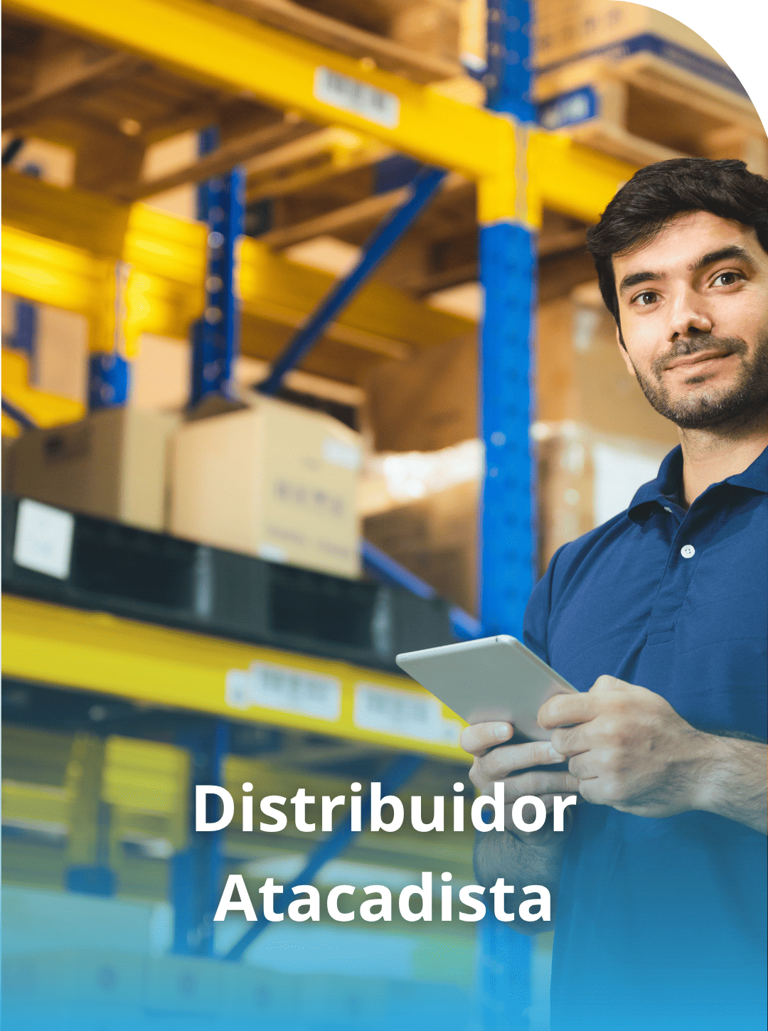 serviços terceirização financeira para destruidor e atacadista